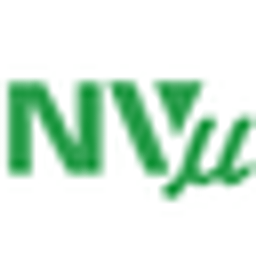 Shanghai New Vision Microelectronics Co Action