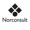 Norconsult A Action