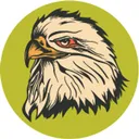 North Bay Resources Action