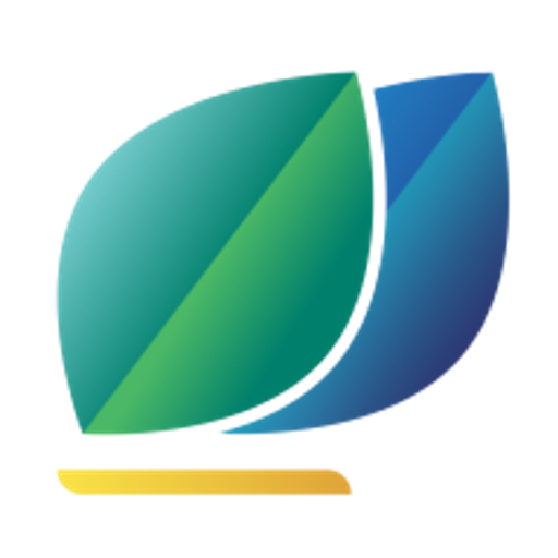 New Times Corporation