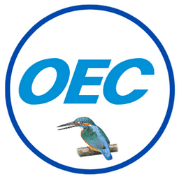 Original Engineering Consultants Co
