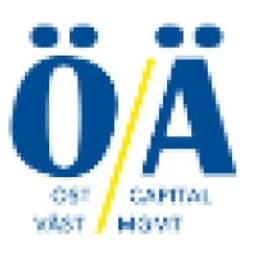 OstVast Capital Management