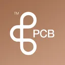 PCB Technologies Stock