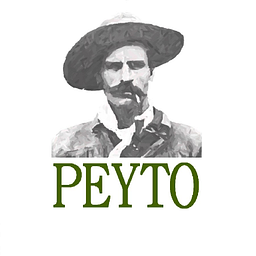 Peyto Exploration & Development Aktie