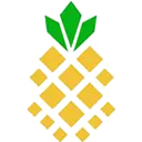 Pineapple Energy Action