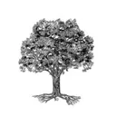 Pin Oak Investment Advisors, Inc.
