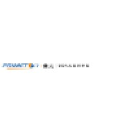 Primeton Information Technologies Action