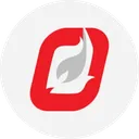Profire Energy Action