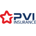 PVI Holdings Action