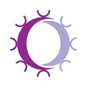Repertoire Holdings LLC