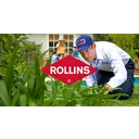 Rollins Stock