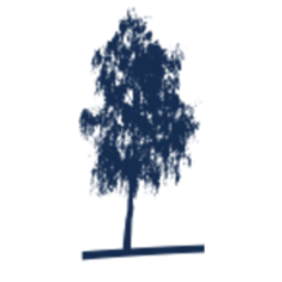RWC ASSET MANAGEMENT LLP