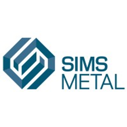 Sims Action