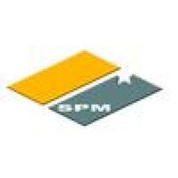 Sino Platinum Metals Co Stock