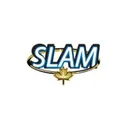 Slam Exploration Stock
