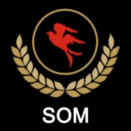 Som Distilleries and Breweries Stock