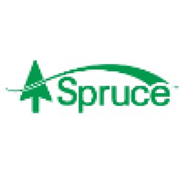 Spruce Holdings LLC