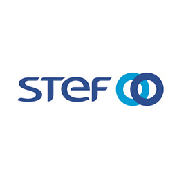Stef Action