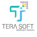 Tera Software Stock