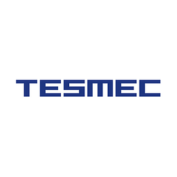 Tesmec SpA Action