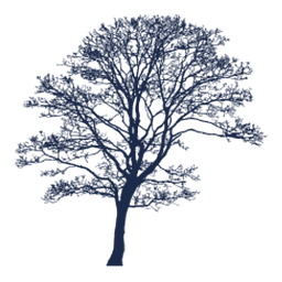 Thompson, Davis & Co., Inc. (Asset Management)