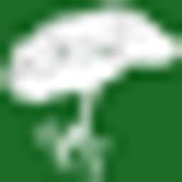 Tikvah Management LLC