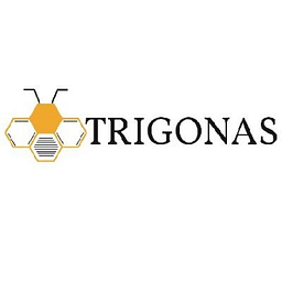 Trigon Capital AS