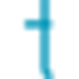 TSP Capital Management Group, LLC