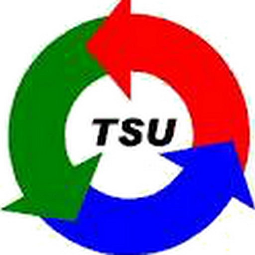 Taiwan Steel Union Co