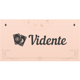 Vidente Co., Ltd.