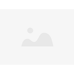 Voicecomm Technology Co Action
