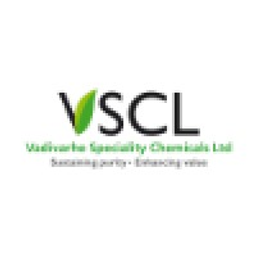Vadivarhe Speciality Chemicals Aktie