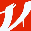 V Technology Co Action