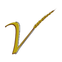 V Wealth Advisors LLC