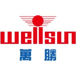 Zhejiang Wellsun Intelligent Technology Co