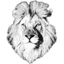 White Lion Capital LLC