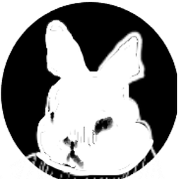 White Rabbit Capital Corp.