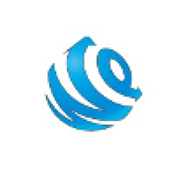 Artist Company Stock