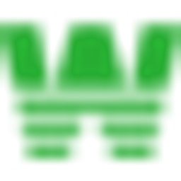Wiz Corp Stock