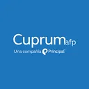 AFP Cuprum Stock