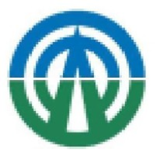Xinjiang Tianye Co